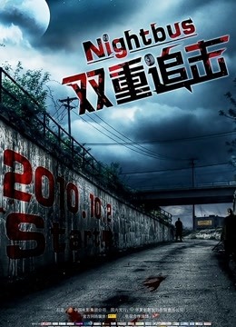 双重追击(普通话)