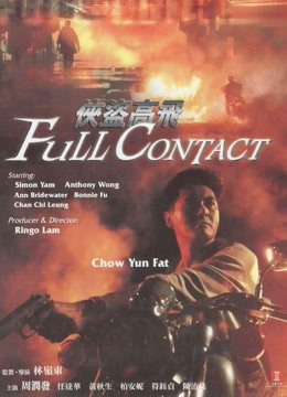 侠盗高飞(粤语)