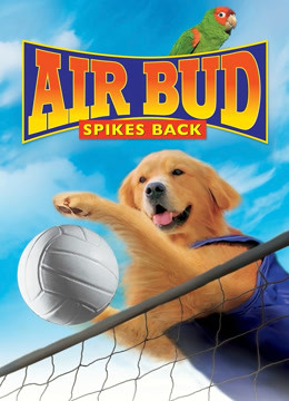 飞狗巴迪5:排球健将(英语)