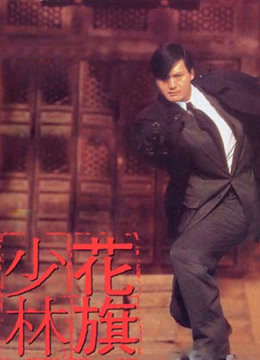 花旗少林(粤语)