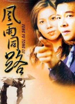 风雨同路(1994)