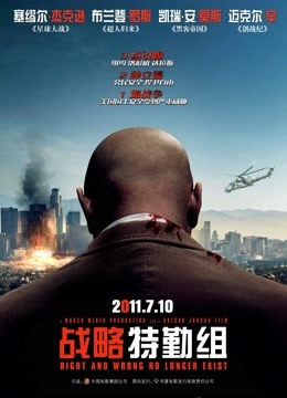 战略特勤组(2010)